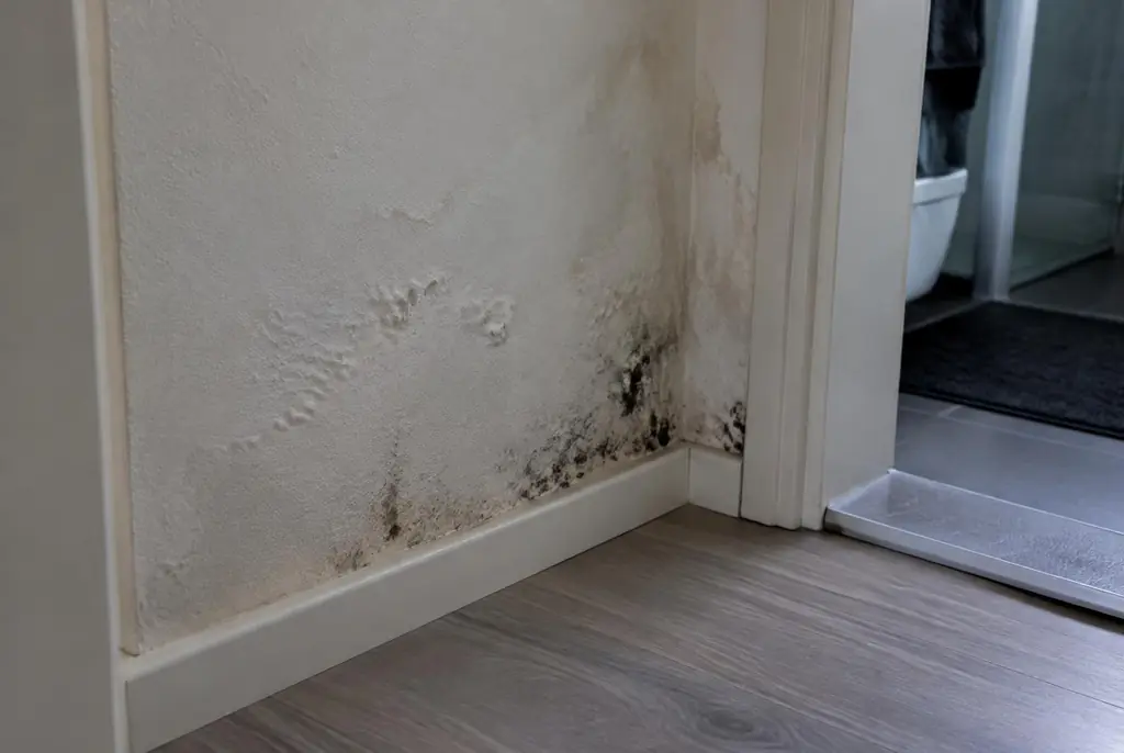 Lekdetectie Renkum – vochtplek met schimmel op een muur